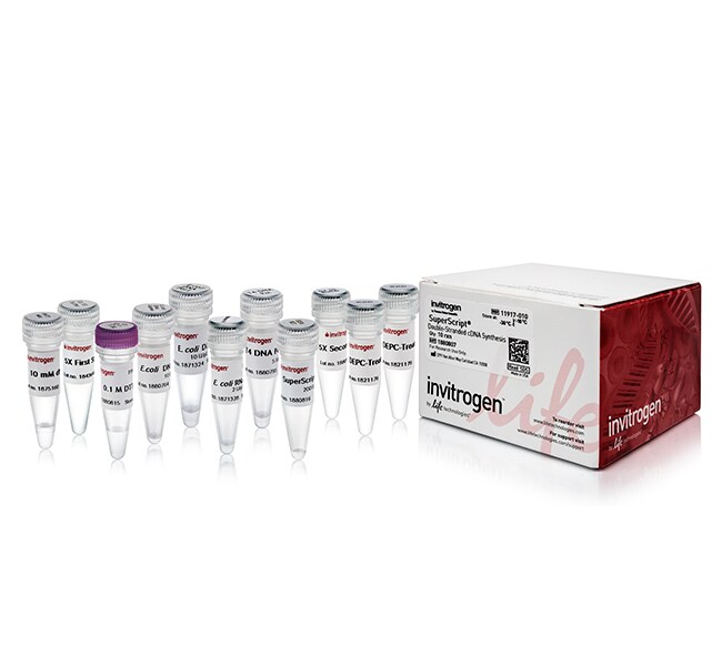 SuperScript&trade; Double-Stranded cDNA Synthesis Kit